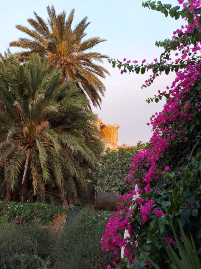 Golden Palms Guest House & Cafe Famagusta (Northern Cyprus) Exterior foto