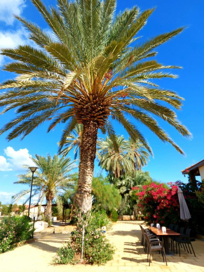 Golden Palms Guest House & Cafe Famagusta (Northern Cyprus) Exterior foto